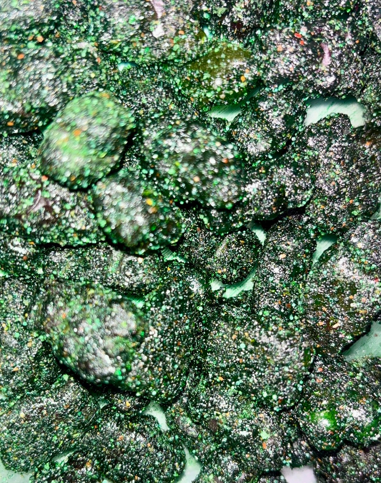 Pickle Gummy Bears 8oz Bag